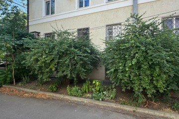 Фото №2: 3-комнатная квартира 101 м² - Краснодар, мкр. Центральный, ул. Захарова, 43