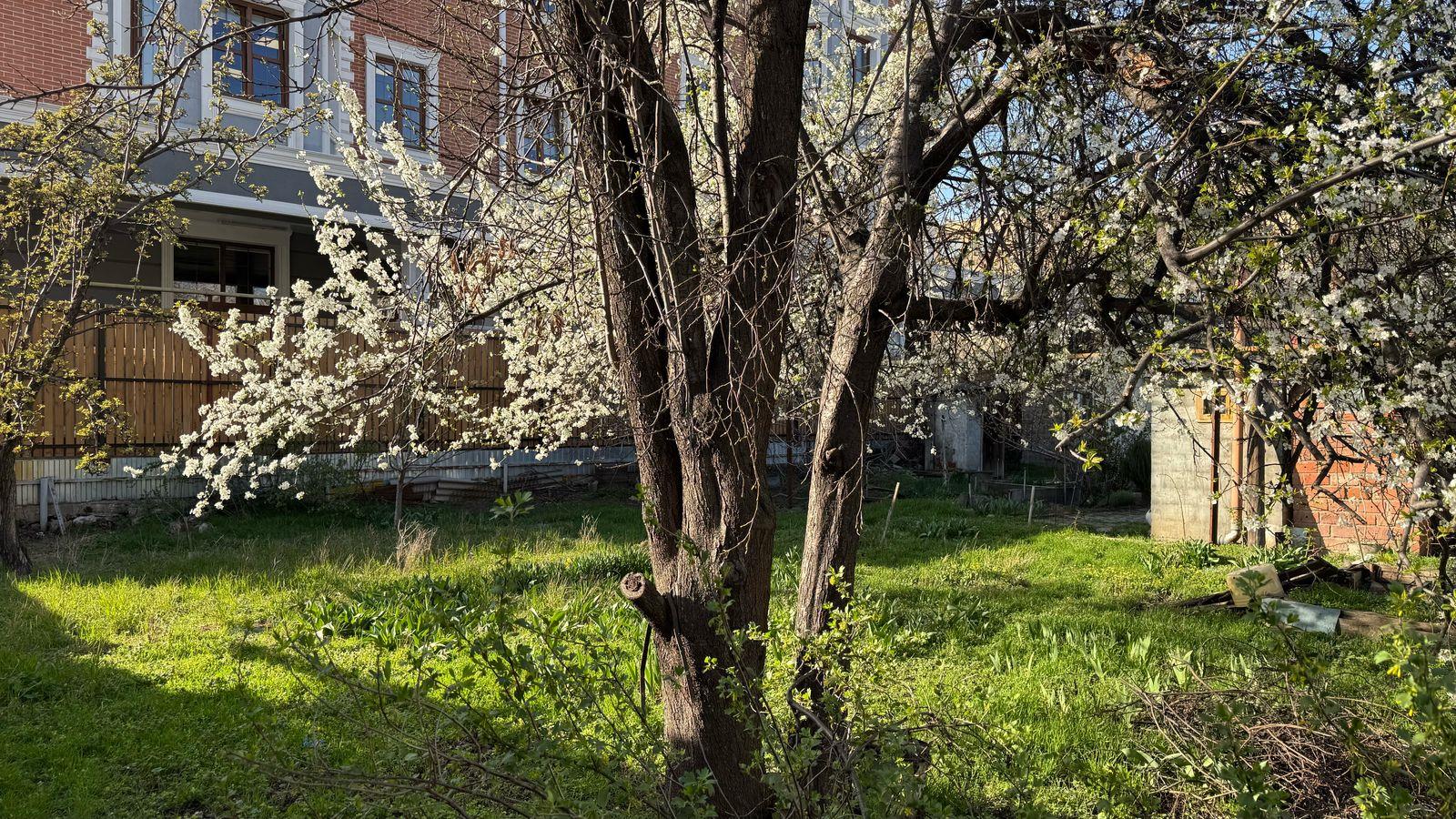 Фото №5: Коммерческая земля 6.14 сот. - Краснодар, Центральный внутригородской округ, мкр. Центральный, ул. Садовая, 141