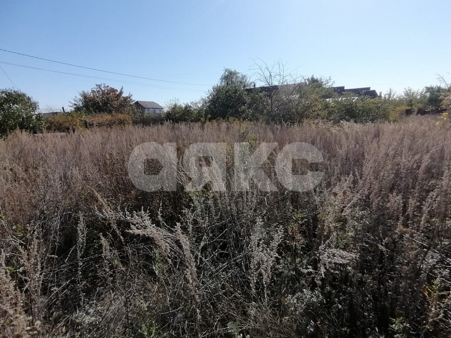 Фото №2: Участок садоводство 10 сот. - Царицын, Диана, ул. Пихтовая