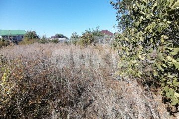 Фото №3: Участок садоводство - Царицын, снт Диана, ул. Пихтовая