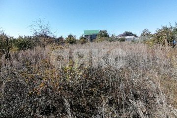 Фото №4: Участок садоводство - Царицын, снт Диана, ул. Пихтовая