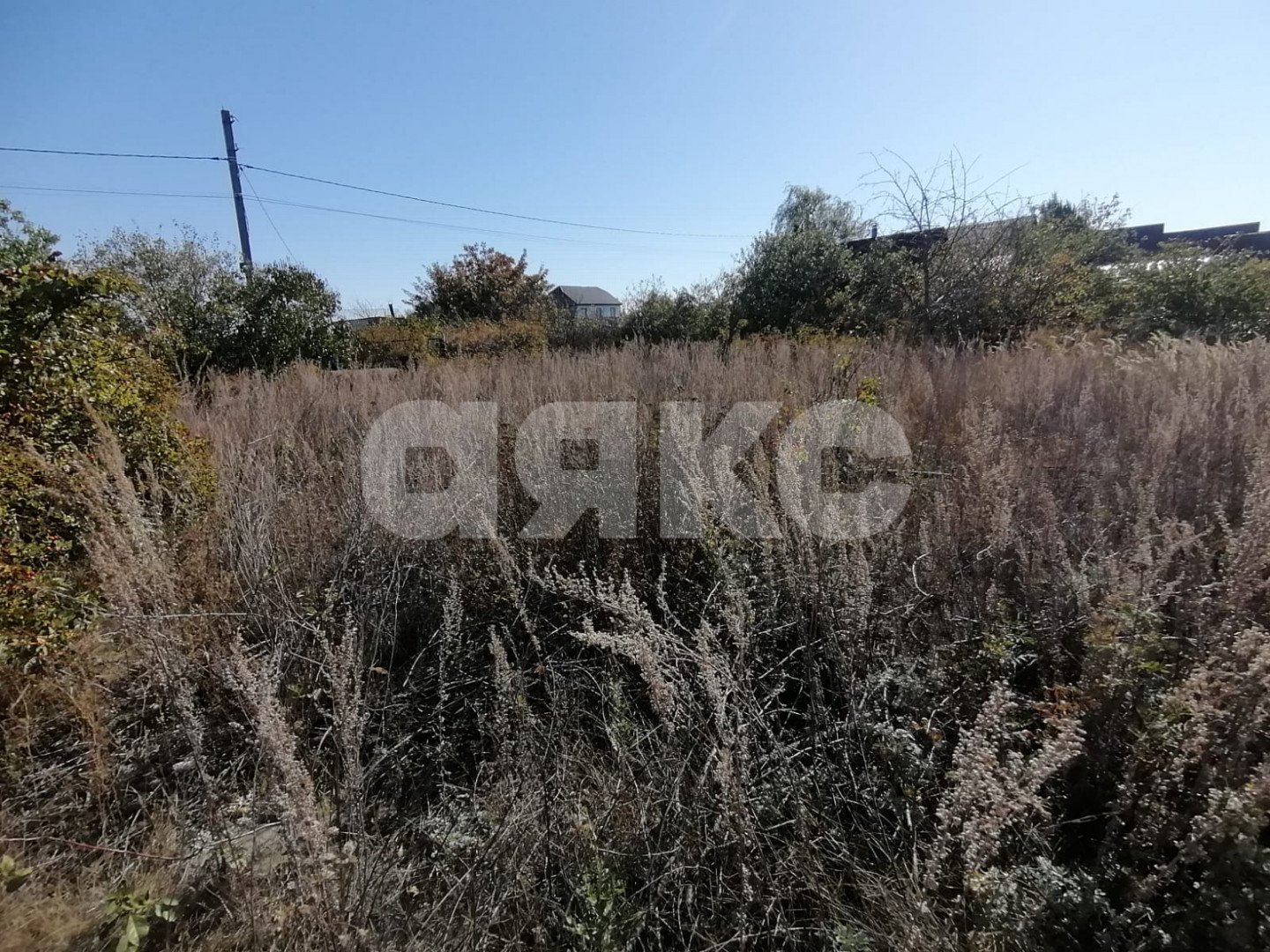 Фото №6: Участок садоводство 10 сот. - Царицын, Диана, ул. Пихтовая