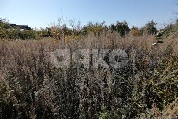 Фото №1: Участок садоводство - Царицын, снт Диана, ул. Пихтовая