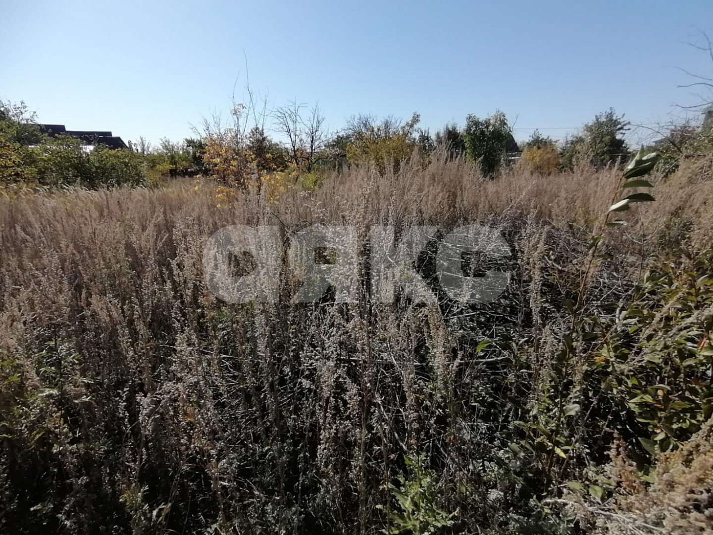 Фото №1: Участок садоводство 10 сот. - Царицын, Диана, ул. Пихтовая