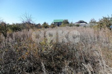 Фото №5: Участок садоводство - Царицын, снт Диана, ул. Пихтовая