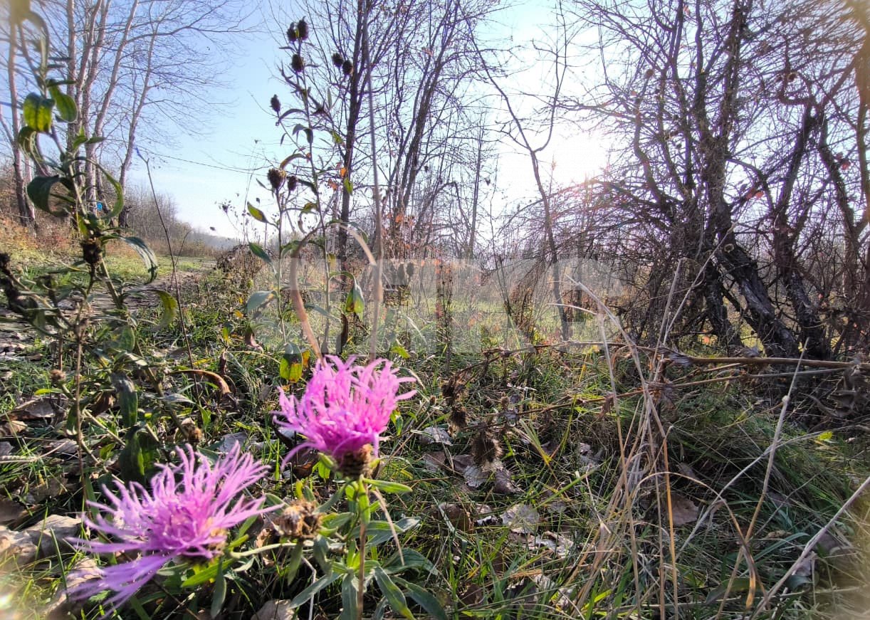 Фото №1: Земельный участок под ИЖС 8.84 сот. - Саратовская, 13-й квартал