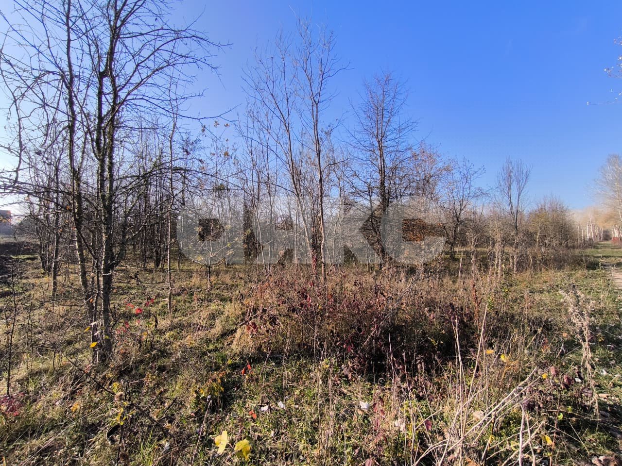 Фото №5: Земельный участок под ИЖС 8.84 сот. - Саратовская, 13-й квартал