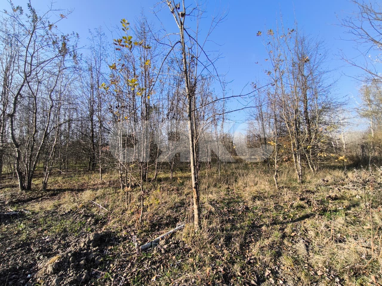 Фото №7: Земельный участок под ИЖС 8.84 сот. - Саратовская, 13-й квартал