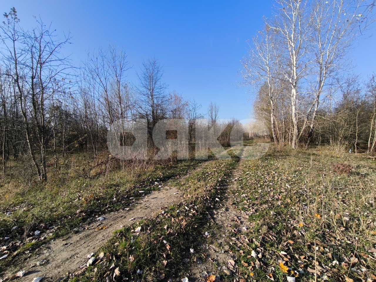 Фото №8: Земельный участок под ИЖС 8.84 сот. - Саратовская, 13-й квартал