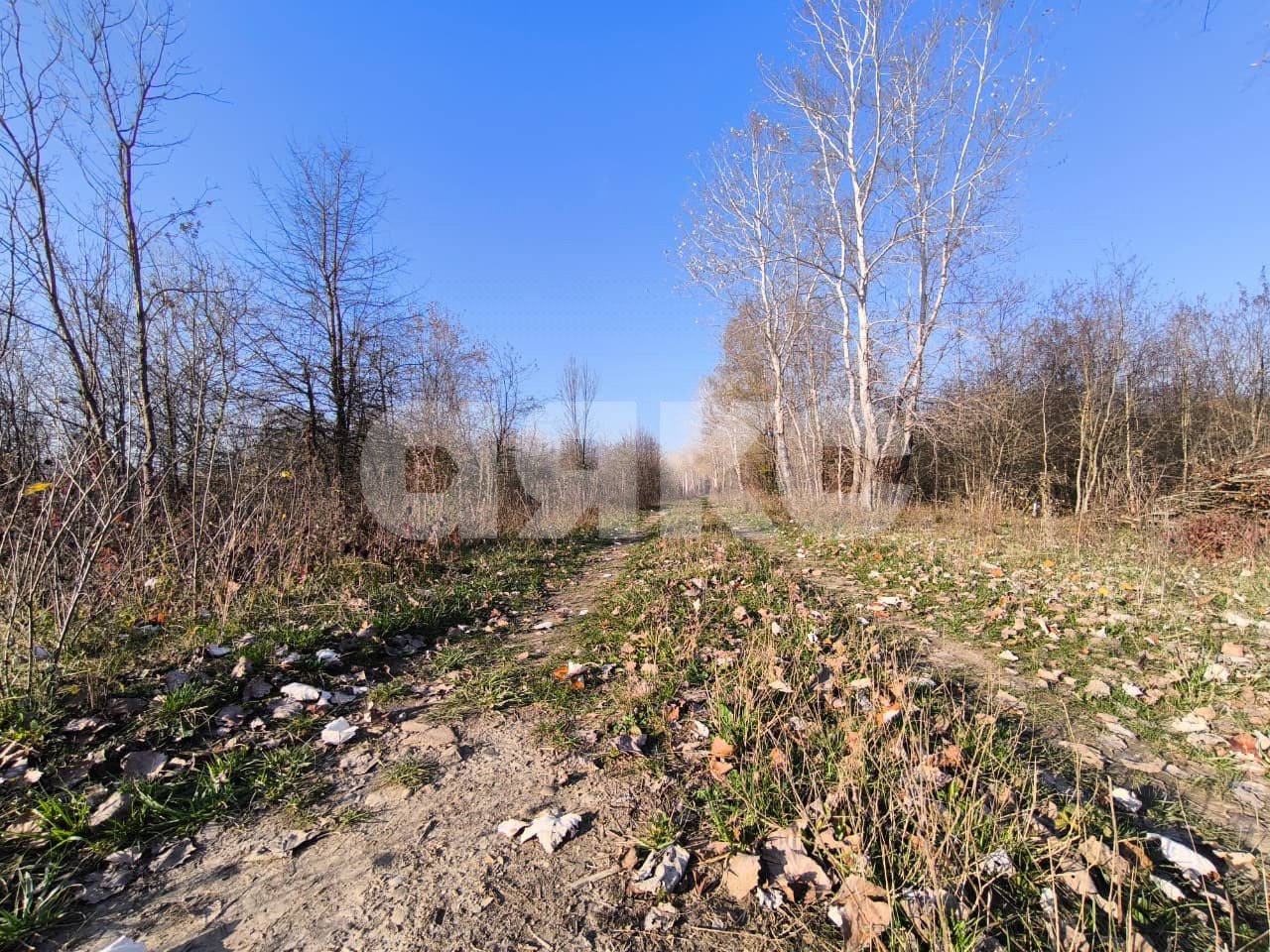 Фото №6: Земельный участок под ИЖС 8.84 сот. - Саратовская, 13-й квартал