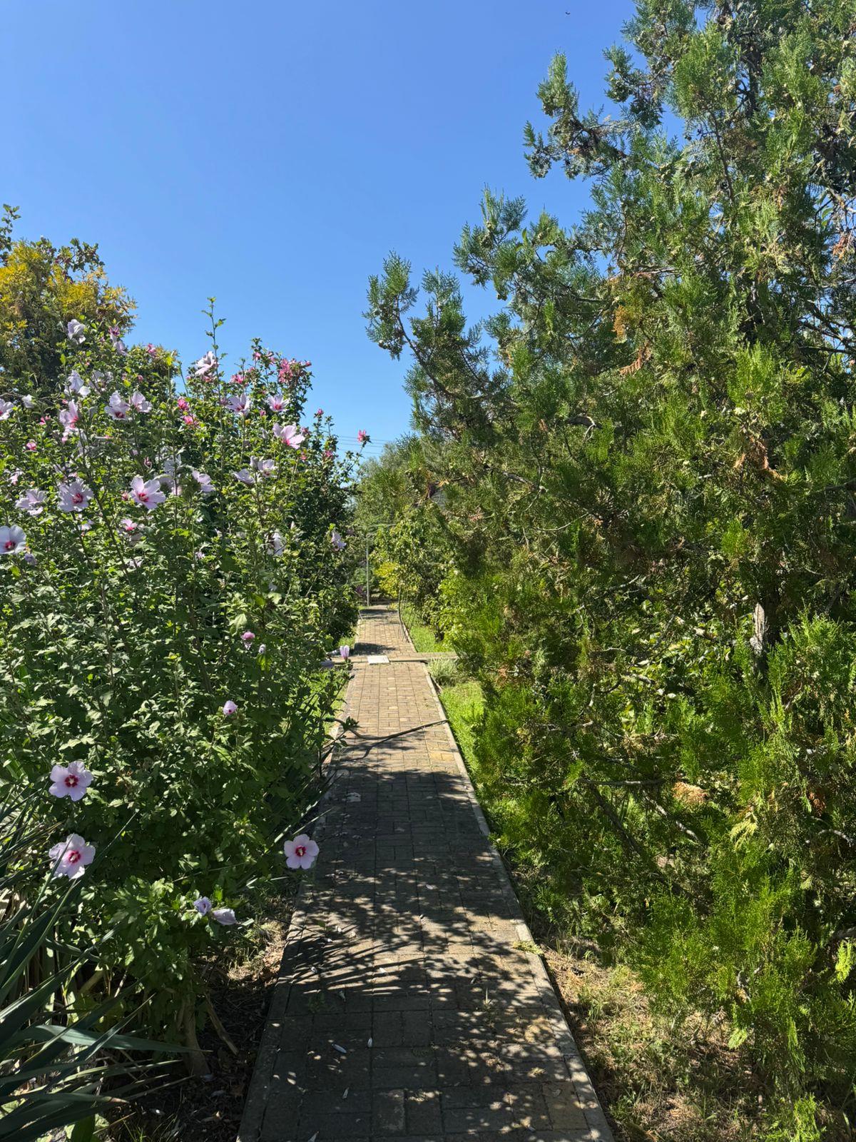 Фото №40: Дом 81 м² + 10 сот. - садово- Луч, 31