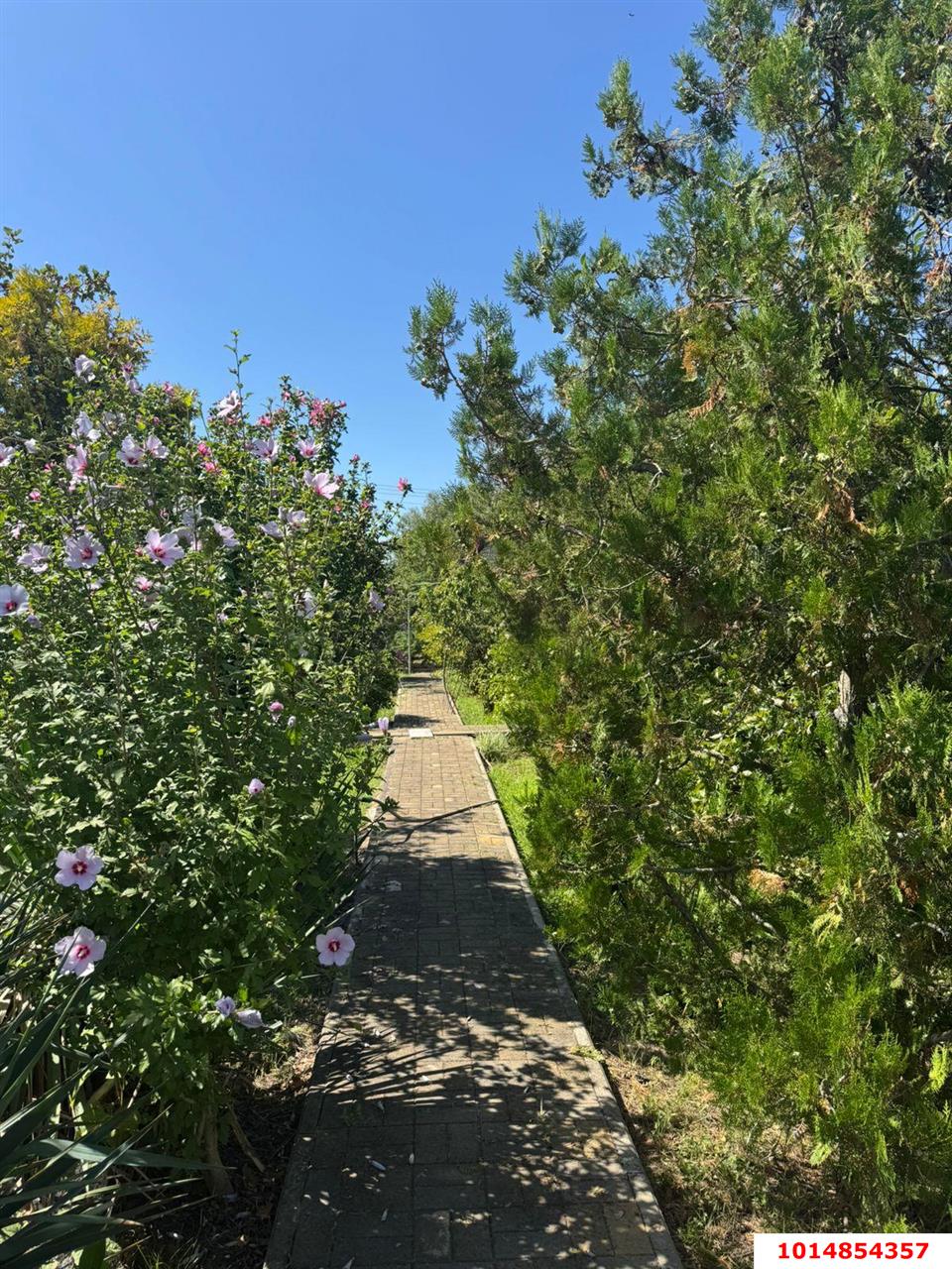 Фото №40: Дом 81 м² + 10 сот. - садово- Луч, 31