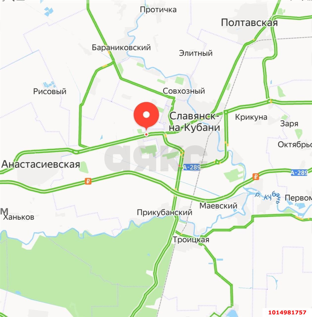 Фото №5: Личное подсобное хозяйство - МТФ № 8 колхоза Путь к Коммунизму