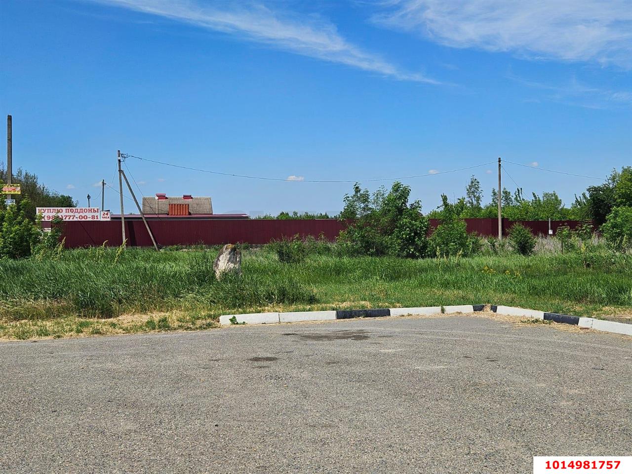 Фото №1: Личное подсобное хозяйство - МТФ № 8 колхоза Путь к Коммунизму