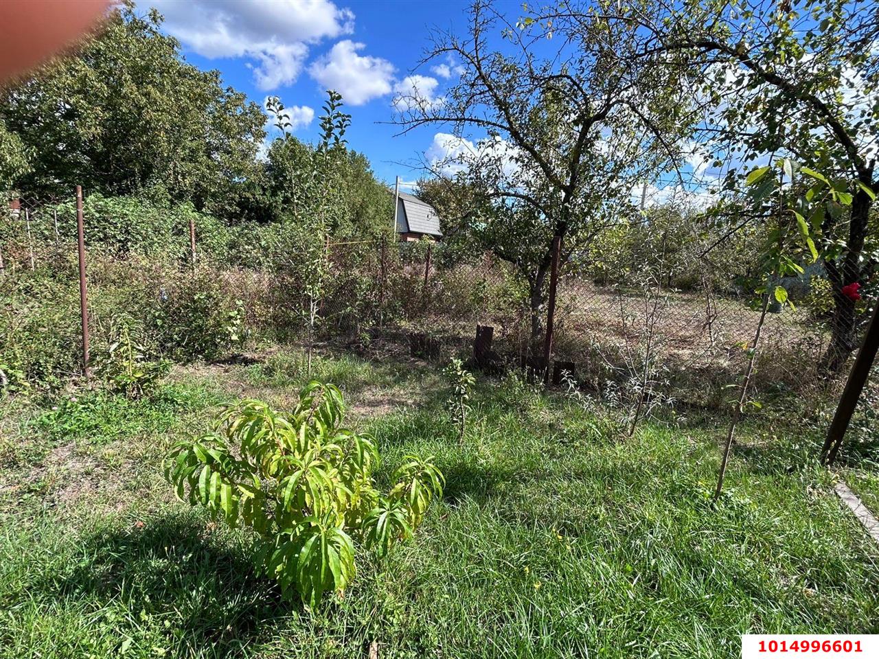 Фото №9: Земельный участок 4 сот. - СНТ Строитель, мкр. Прикубанский внутригородской округ, ул. Сливовая