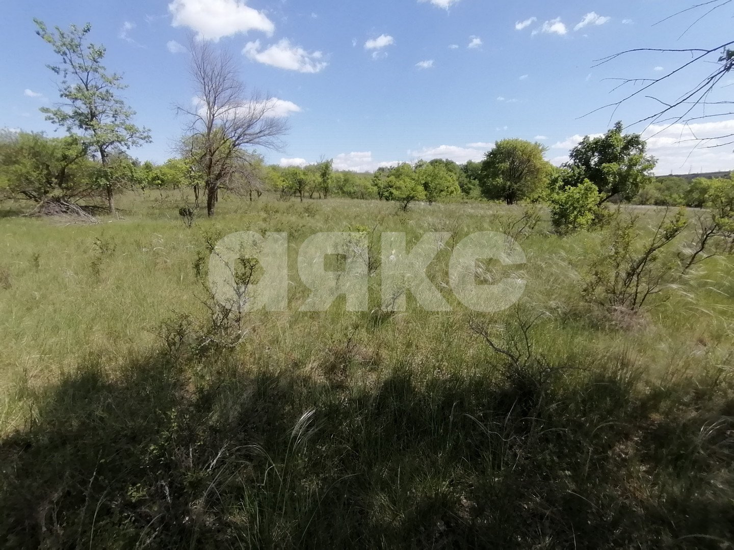 Фото №6: Участок садоводство 10 сот. - Царицын, Царицынское