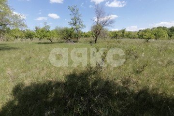 Фото №5: Участок садоводство - Царицын, днт Царицынское, 