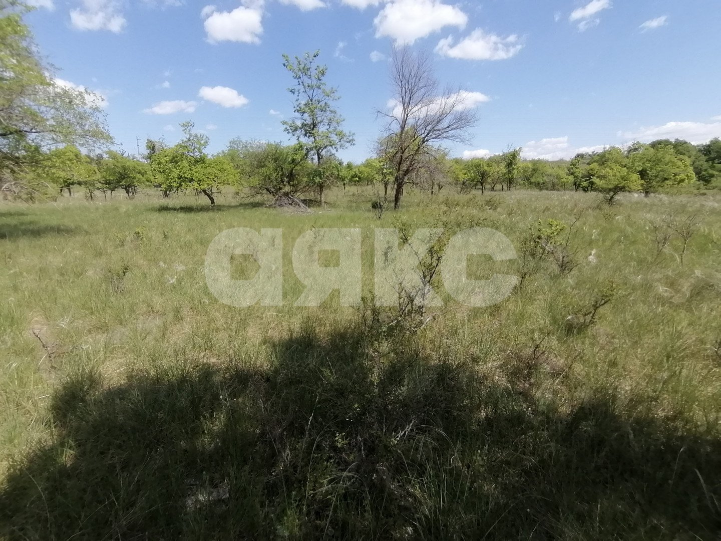 Фото №5: Участок садоводство 10 сот. - Царицын, Царицынское