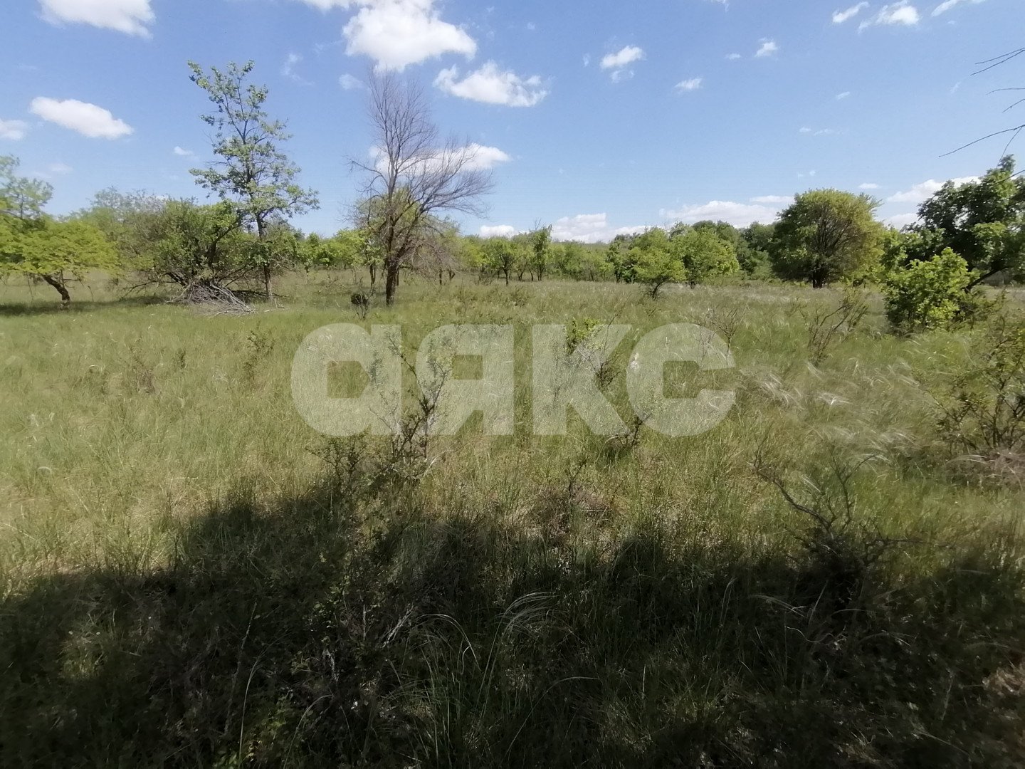 Фото №4: Участок садоводство 10 сот. - Царицын, Царицынское