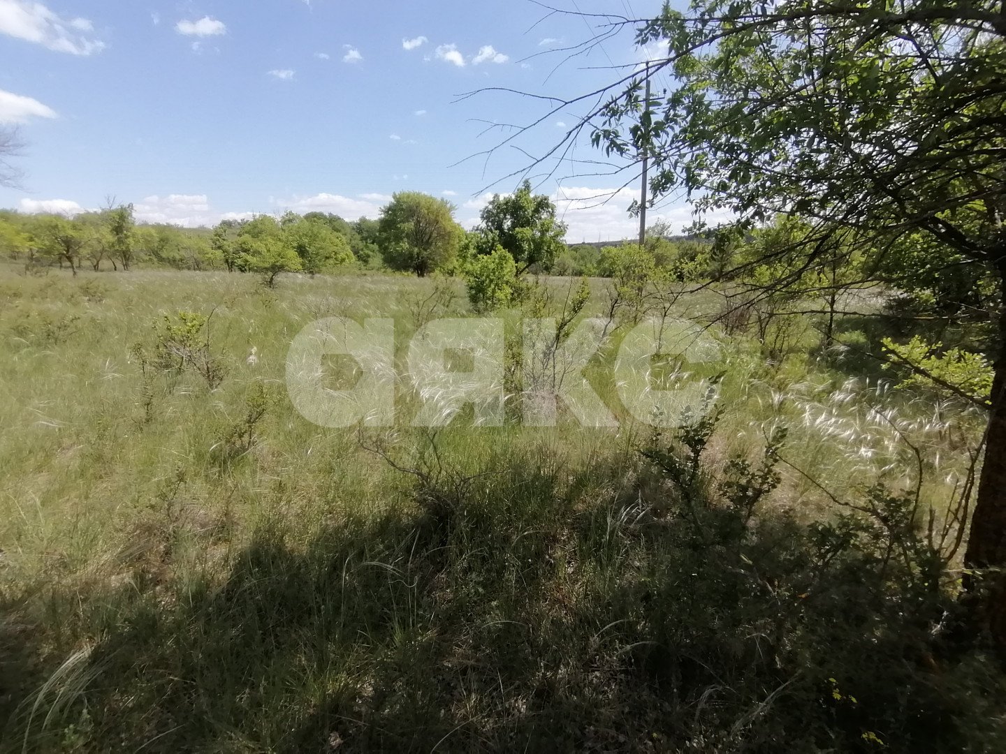 Фото №8: Участок садоводство 10 сот. - Царицын, Царицынское