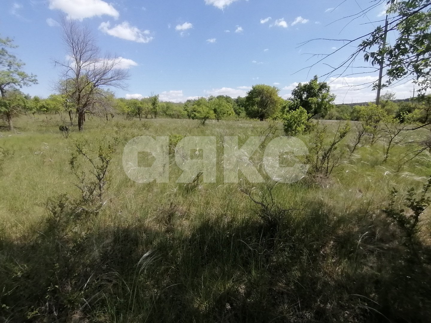 Фото №7: Участок садоводство 10 сот. - Царицын, Царицынское