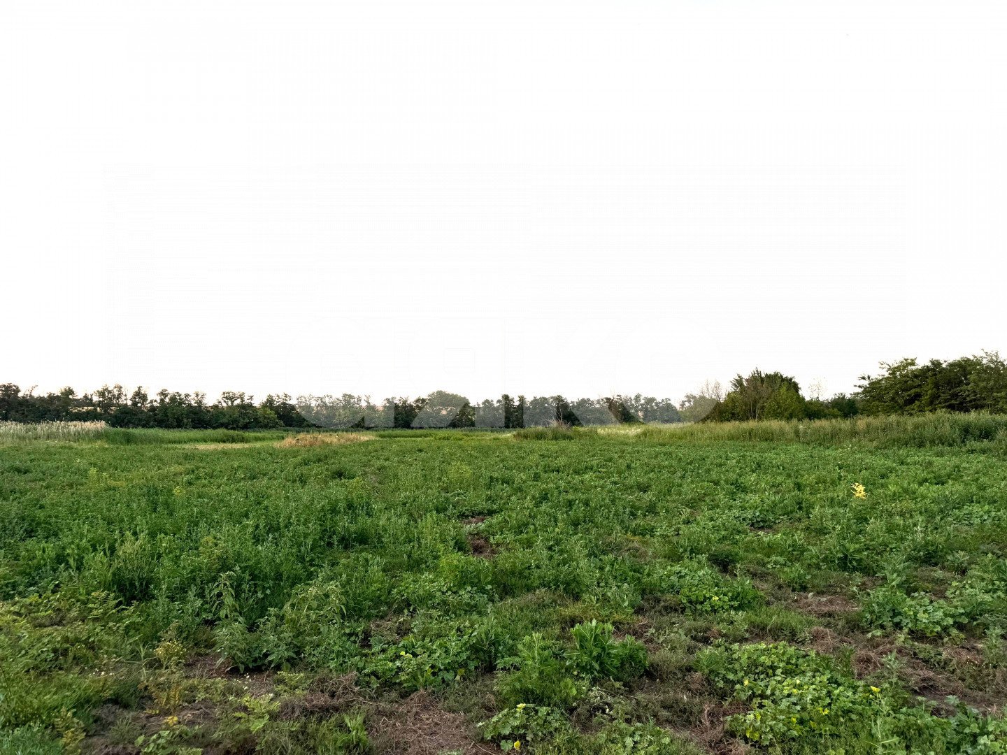 Фото №1: Земельный участок под ИЖС 30 сот. - Заря, ул. Чкалова