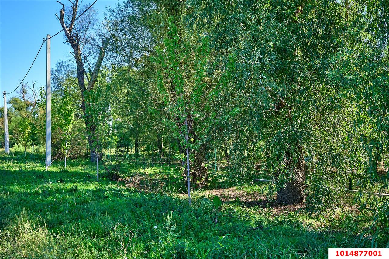 Фото №7: Участок садоводство 4 сот. - Виктория, Прикубанский внутригородской округ, ул. Карьерная, 1