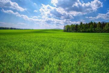 Фото №2: Земельный участок 4.8 сот. - Старомышастовская, ул. Цветочная, 57