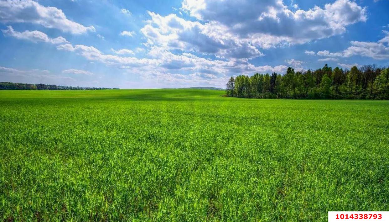 Фото №2: Земельный участок 4.8 сот. - Старомышастовская, ул. Цветочная, 57