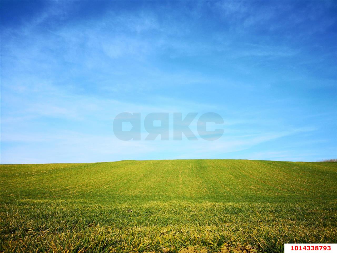 Фото №3: Земельный участок 4.8 сот. - Старомышастовская, ул. Цветочная, 57