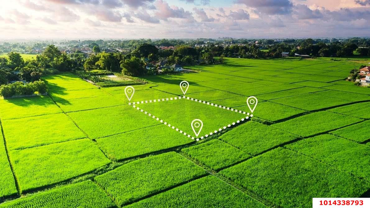 Фото №1: Земельный участок 4.8 сот. - Старомышастовская, ул. Цветочная, 57