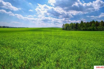 Фото №2: Земельный участок под ИЖС 4.8 сот. - Старомышастовская, ул. Цветочная, 57