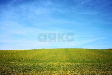 Фото №3: Земельный участок под ИЖС 4.8 сот. - Старомышастовская, ул. Цветочная, 57