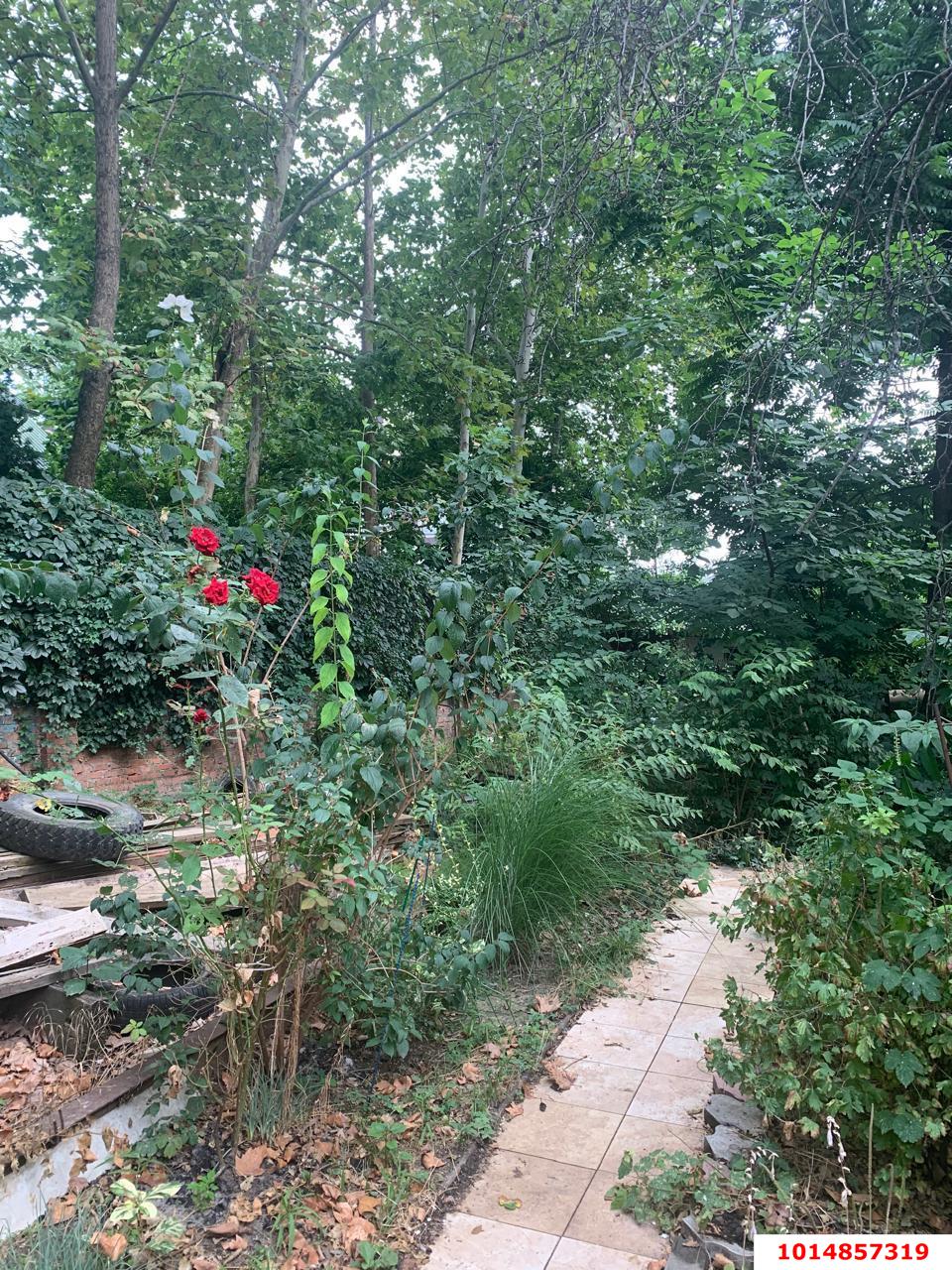 Фото №9: Земельный участок под ИЖС 9 сот. - Краснодар, Центральный, ул. Береговая, 29/1