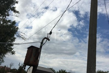 Фото №4: Участок садоводство 6 сот. - Кубанская Нива-2, мкр. Прикубанский внутригородской округ, ул. Летняя