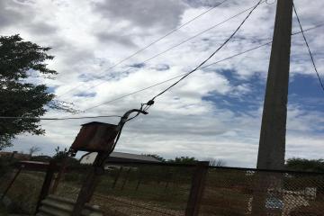 Фото №4: Земельный участок 6 сот. - Кубанская Нива-2, мкр. Прикубанский внутригородской округ, ул. Летняя