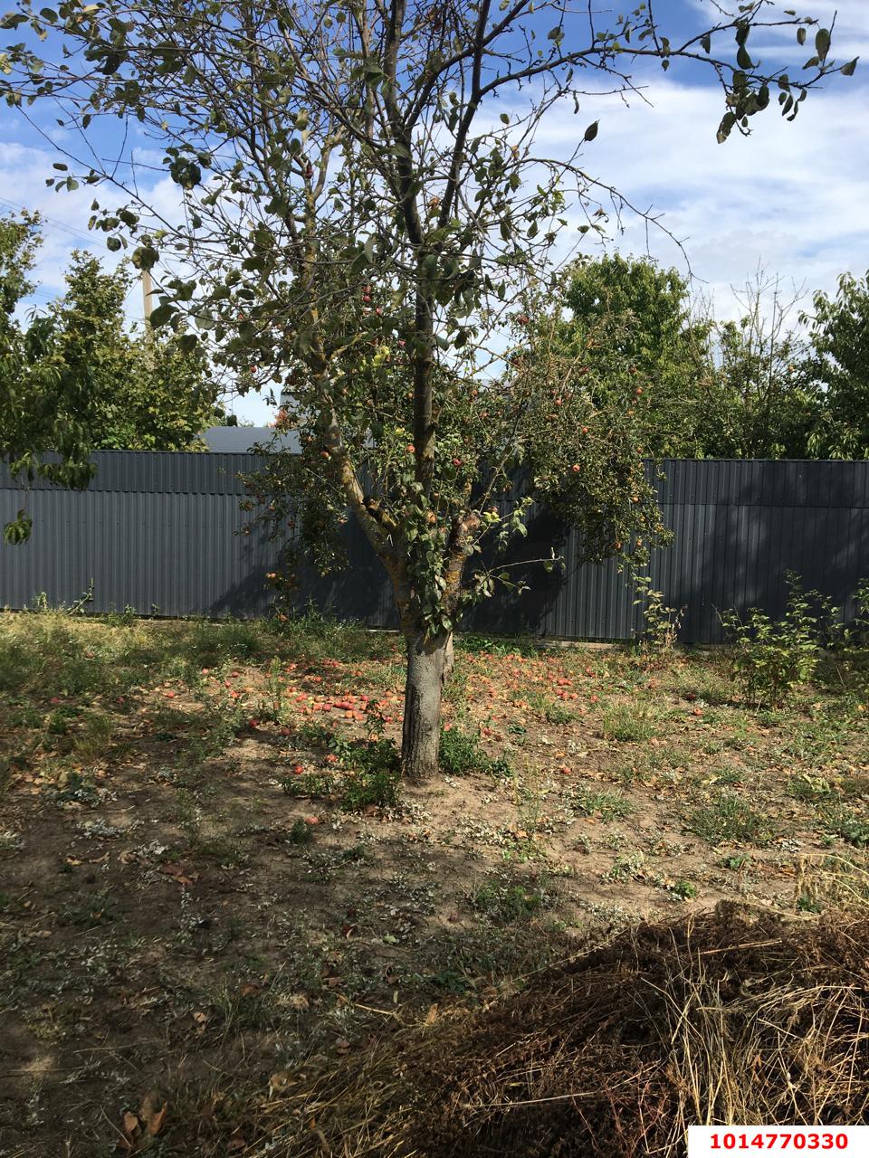 Фото №3: Участок садоводство 6 сот. - Кубанская Нива-2, Прикубанский внутригородской округ, ул. Летняя