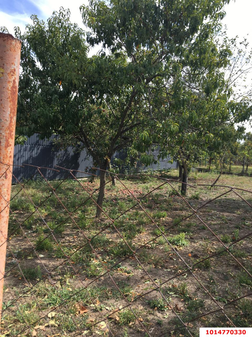 Фото №5: Участок садоводство 6 сот. - Кубанская Нива-2, Прикубанский внутригородской округ, ул. Летняя