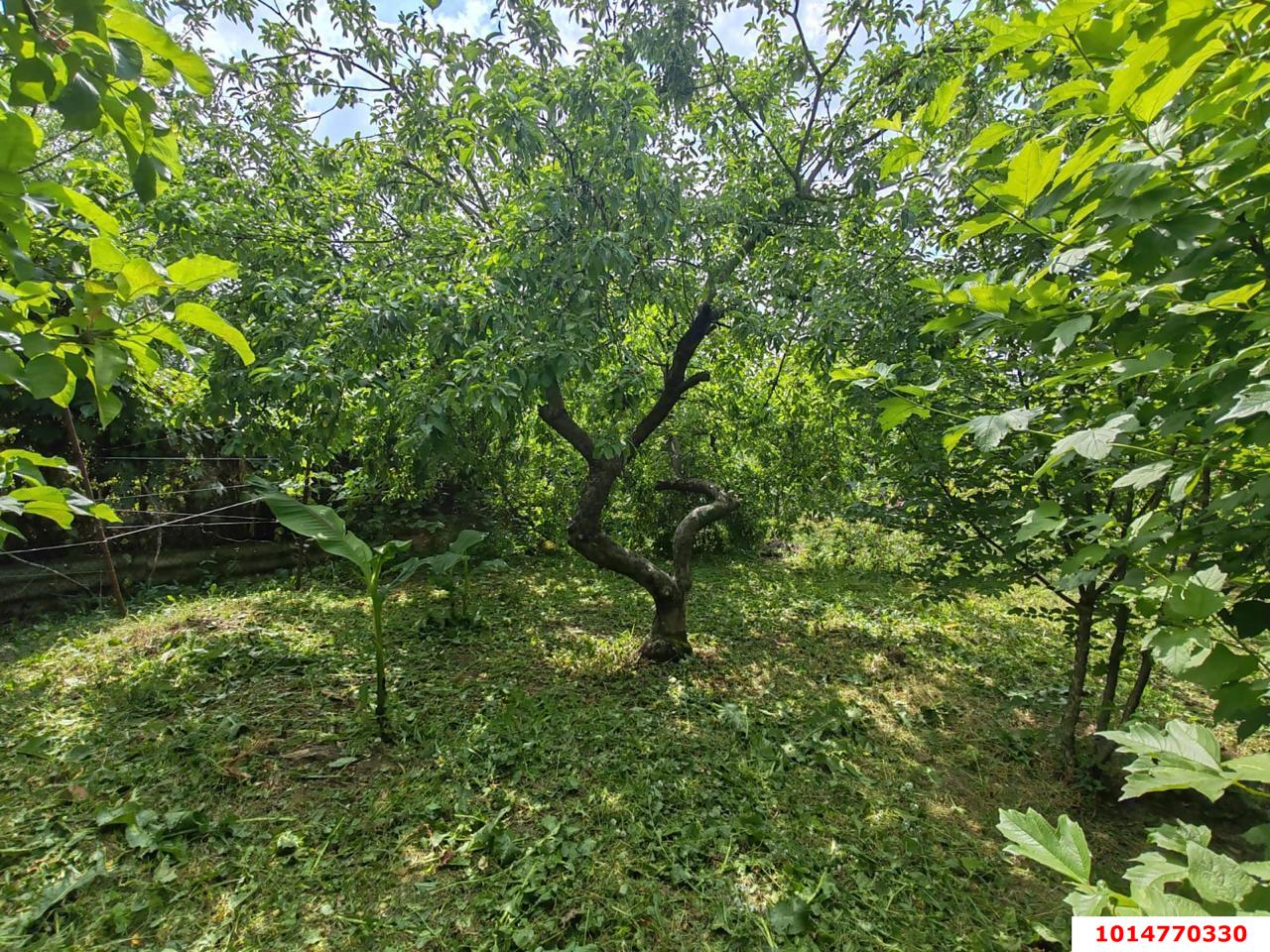 Фото №6: Земельный участок 6 сот. - Кубанская Нива-2, мкр. Прикубанский внутригородской округ, ул. Летняя