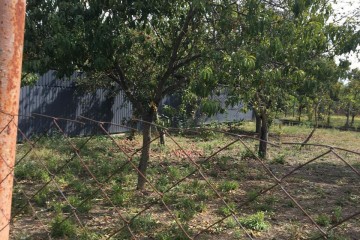 Фото №5: Участок садоводство 6 сот. - Кубанская Нива-2, мкр. Прикубанский внутригородской округ, ул. Летняя