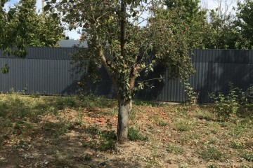 Фото №3: Участок садоводство 6 сот. - Кубанская Нива-2, мкр. Прикубанский внутригородской округ, ул. Летняя