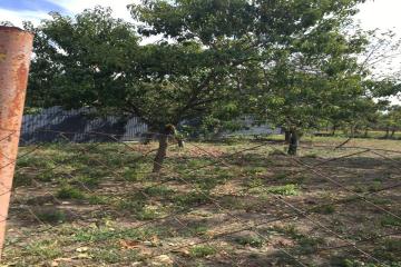 Фото №5: Земельный участок 6 сот. - Кубанская Нива-2, мкр. Прикубанский внутригородской округ, ул. Летняя