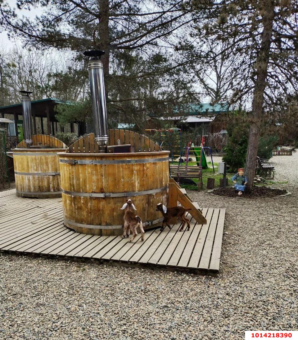 Фото №18: Готовый бизнес 100 м² - Лесная Быль