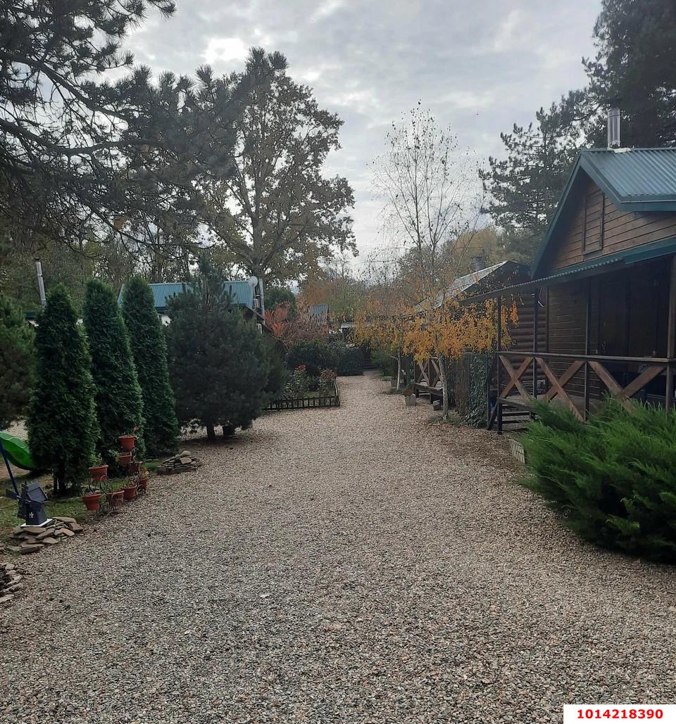 Фото №16: Готовый бизнес 100 м² - Лесная Быль