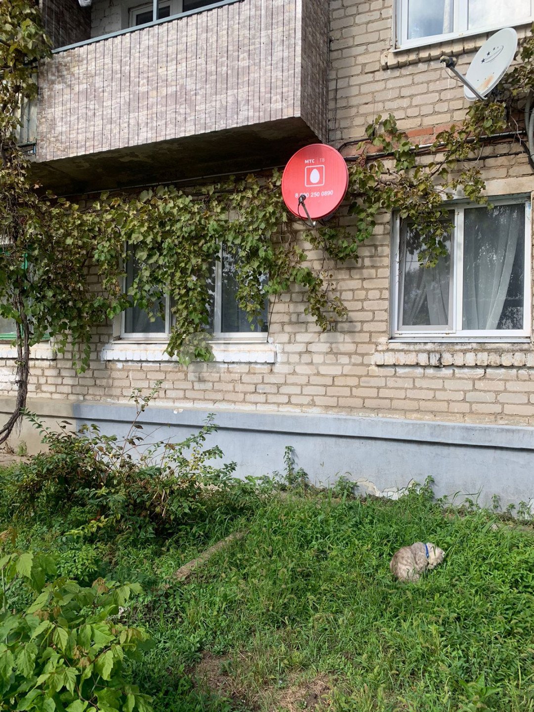 Фото №10: 2-комнатная квартира 41 м² - Кореновск, ул. Тимашевская, 1А