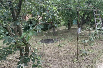 Фото №2: Дом 49 м² - садовое некоммерческое товарищество Красная Звезда, ул. Садовая, 114