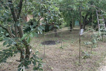 Фото №4: Дом 49 м² - садовое некоммерческое товарищество Красная Звезда, ул. Садовая, 114