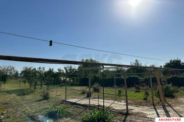 Фото №2: Дом 43 м² - Новый Сад, ул. Мира, 58