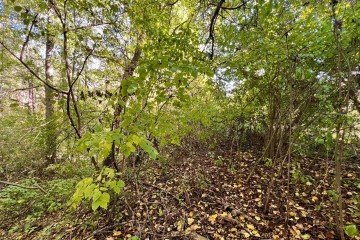 Фото №4: Коммерческая земля 21 сот. - Азовская, ул. Набережная