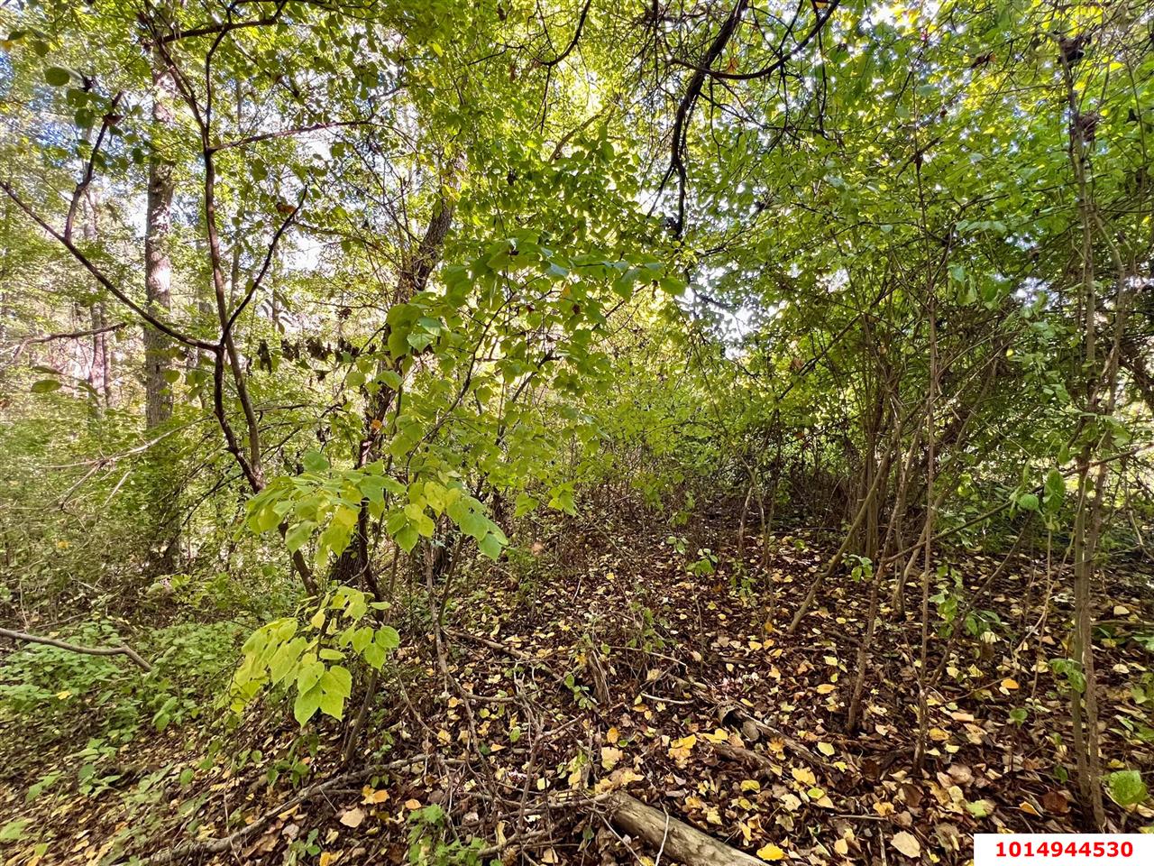 Фото №4: Коммерческая земля 21 сот. - Азовская, ул. Набережная